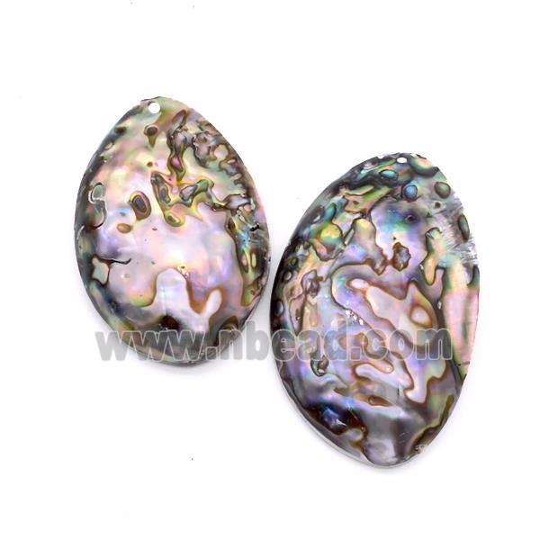 Natural Abalone Shell Pendant Freeform Multicolor