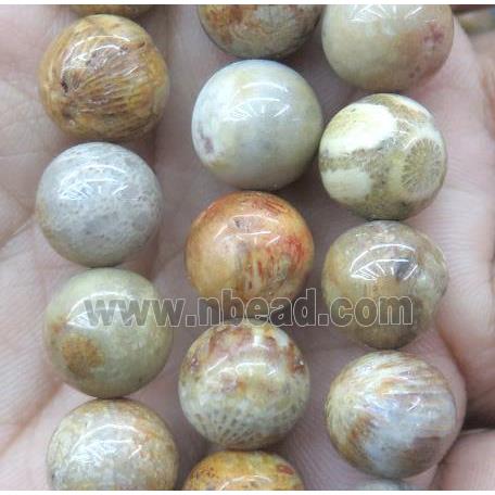 Natural Coral Fossil Beads Smooth Round