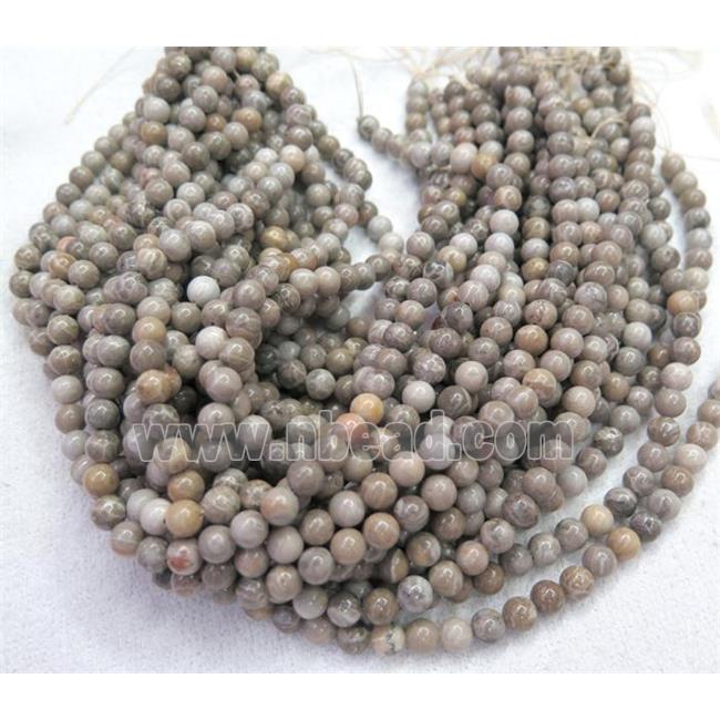 round coral fossil beads