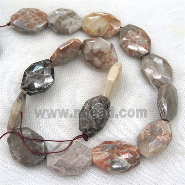 Coral Fossil slice beads, faceted freeform