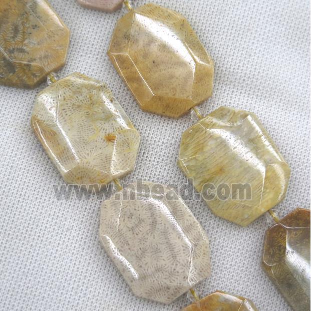 coral fossil slab beads, faceted freeform
