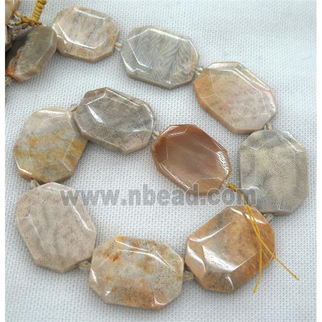 coral fossil slab beads, faceted freeform