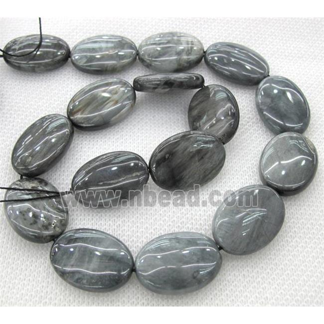 natural hawk Eye Stone beads, oval