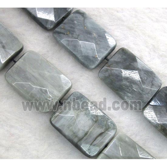 natural hawk Eye Stone bead, faceted rectangle