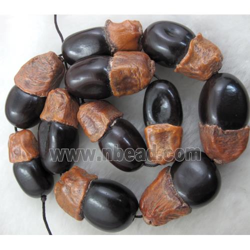 Bodhi Beads, fruit