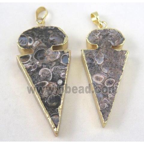 Ammonite Fossil pendant, arrowhead, gold plated