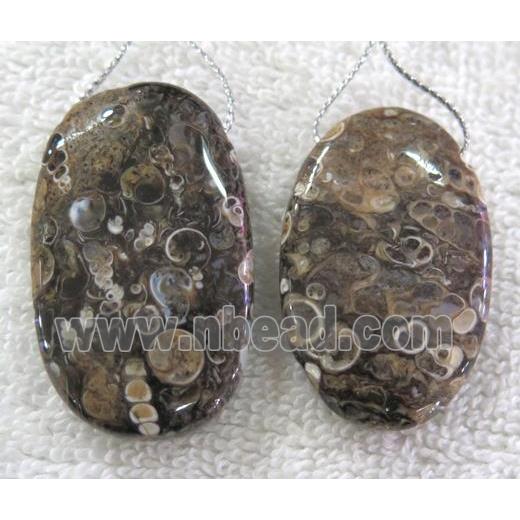 Ammonite Fossile pendant, freeform