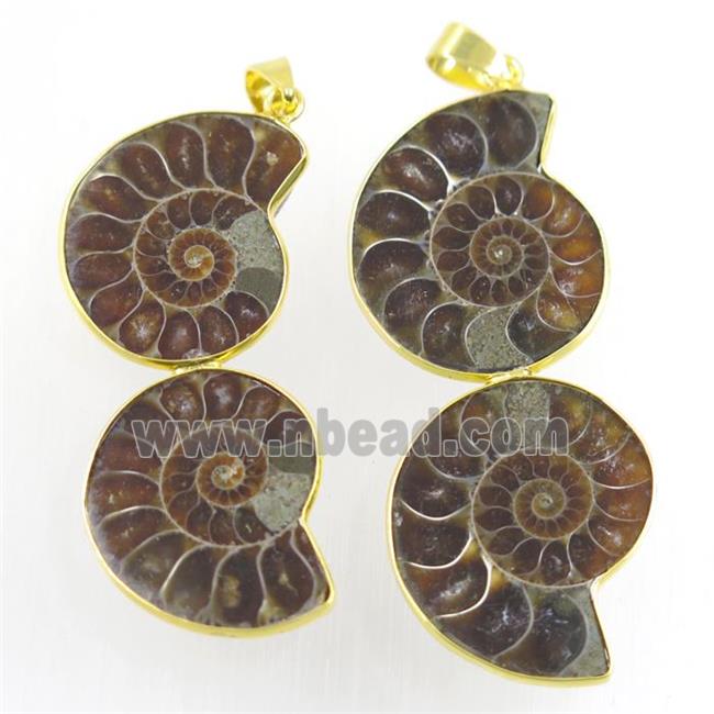 double Ammonite Fossil pendant, gold plated
