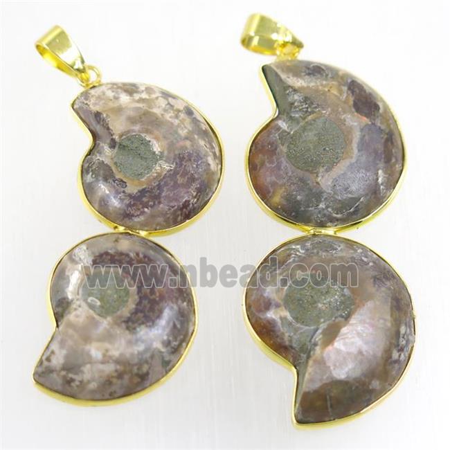 double Ammonite Fossil pendant, gold plated
