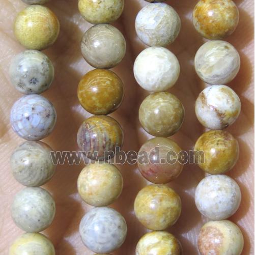 yellow Fossil Coral beads, grade B, round