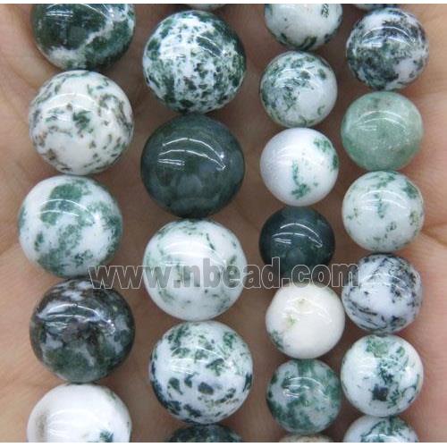 round Tree Agate beads, green