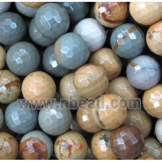 American Picture Jasper beads, faceted round
