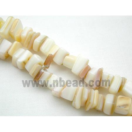 Sea Shell Chip Beads