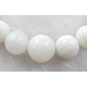 Tridacna shell necklace, round, white
