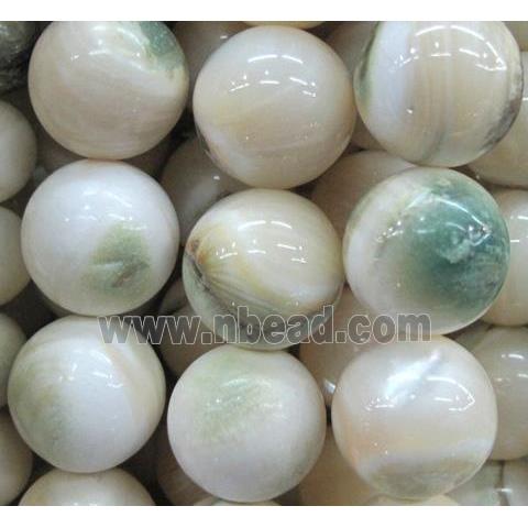 natural Tridacna Shell Beads, round