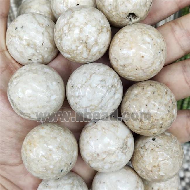 Natural River Fossil Beads Smooth Round