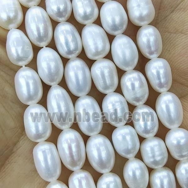 white Freshwater Pearl rice Beads