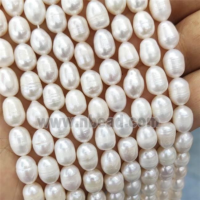 White Pearl Rice Beads