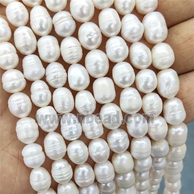 White Pearl Rice Beads B-Grade