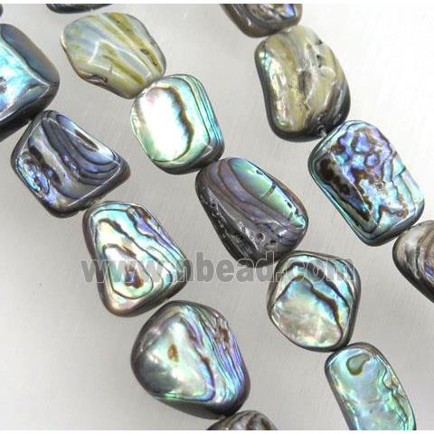 Paua Abalone shell bead, freeform