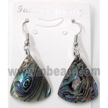 Paua Abalone shell earring, teardrop, mxied