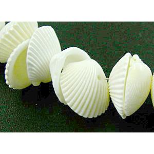 White Conch beads