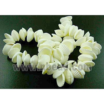 White Conch beads