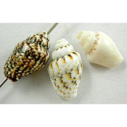 Conch beads, mixed color