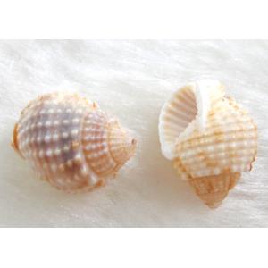shell Conch bead