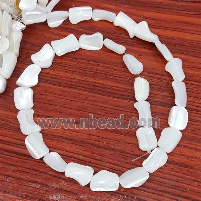 White Sea Shell Beads Freeform
