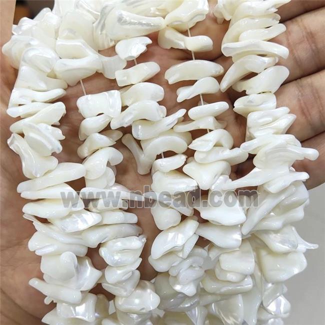 White Sea Shell Beads Freeform