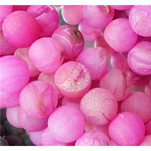 frosted Agate Beads with druzy, round gemstone, pink, 10mm dia, approx 38pcs per st