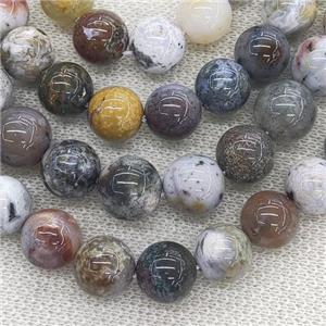 natural Ocean Agate Beads, round, approx 12mm dia