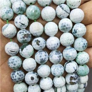 Green Fire Agate Beads Dye Faceted Round, approx 12mm dia