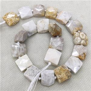 Natural Coral Fossil Beads Faceted Square, approx 16-17mm