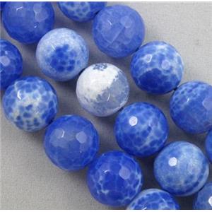 blue Fire Agate Stone beads, faceted round, 8mm dia, approx 48pcs per st