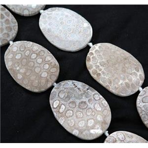 white Coral Fossil slice beads, faceted freeform, A-grade, approx 30-60mm