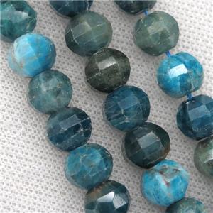 blue Apatite lantern beads, approx 11-12mm dia