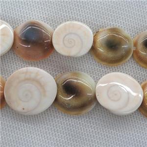 Shiva Shell Fossil beads, approx 18-22mm