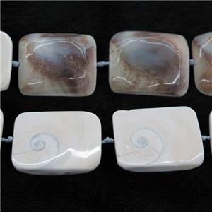 Shell Fossil beads, rectangle, approx 28-38mm