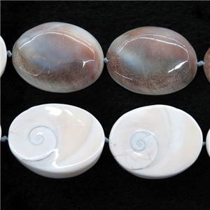 oval Shell Fossil beads, approx 30-40mm