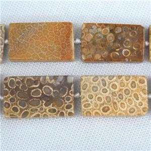 yellow Coral Fossil Beads, rectangle Petoskey, approx 25-40mm