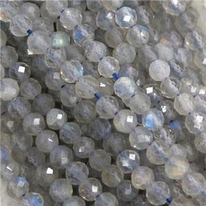 tiny Labradorite Seed Beads, faceted round, approx 2mm dia