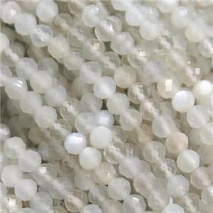 MoonStone Beads, faceted round, approx 3mm dia