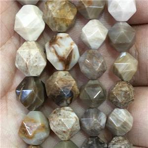 American Petrified Wooden Jasper Beads, faceted round, approx 6mm dia