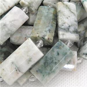tree Agate Beads, faceted rectangle, approx 14-28mm