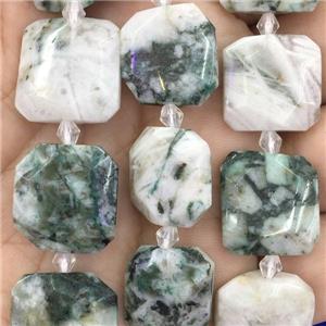 green Tree Agate square Beads, approx 15x15mm