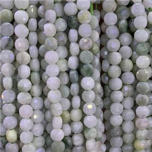 Burman Chrysoprase Beads, faceted circle, approx 6mm dia