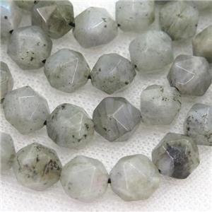 Labradorite Beads, faceted round, starcut, approx 10mm dia