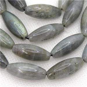 Labradorite rice beads, approx 10x25mm